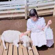 ヒメ日記 2025/09/13 23:31 投稿 もも Sakura Spa