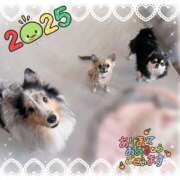 ヒメ日記 2025/01/04 13:49 投稿 みな スピードエコ日本橋店