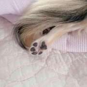 ヒメ日記 2025/10/18 09:53 投稿 みな スピードエコ日本橋店