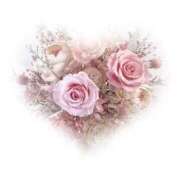 ヒメ日記 2025/11/15 21:29 投稿 みな スピードエコ日本橋店