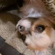 ヒメ日記 2025/11/19 19:44 投稿 みな スピードエコ日本橋店