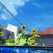 ヒメ日記 2025/07/19 13:48 投稿 りん ダック京都