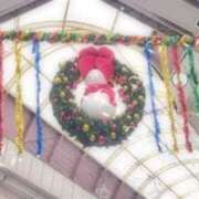 ヒメ日記 2025/11/29 12:29 投稿 りん ダック京都