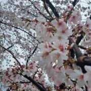 ヒメ日記 2026/04/02 13:00 投稿 りん ダック京都