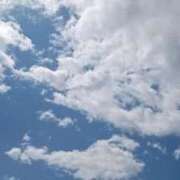 ヒメ日記 2025/04/04 12:18 投稿 まい 那須塩原人妻花壇