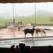 ヒメ日記 2025/06/07 23:41 投稿 れんか 東京アロマスタイル