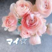 ヒメ日記 2025/02/12 11:04 投稿 小日向まい 性感回春アロマSPA金沢店