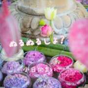 ヒメ日記 2025/04/23 10:27 投稿 小日向まい 性感回春アロマSPA金沢店