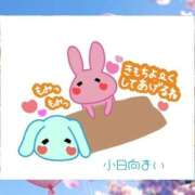 ヒメ日記 2025/05/29 12:03 投稿 小日向まい 性感回春アロマSPA金沢店