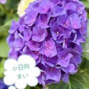 ヒメ日記 2025/06/06 09:18 投稿 小日向まい 性感回春アロマSPA金沢店