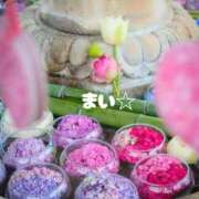 ヒメ日記 2025/07/09 09:30 投稿 小日向まい 性感回春アロマSPA金沢店