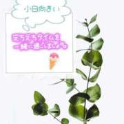 ヒメ日記 2025/07/16 10:45 投稿 小日向まい 性感回春アロマSPA金沢店