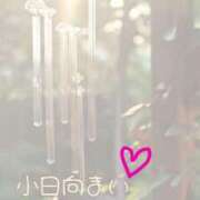 ヒメ日記 2025/08/22 10:39 投稿 小日向まい 性感回春アロマSPA金沢店