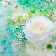 ヒメ日記 2025/09/09 10:27 投稿 小日向まい 性感回春アロマSPA金沢店