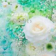 小日向まい 出勤しました(*^^*) 性感回春アロマSPA金沢店