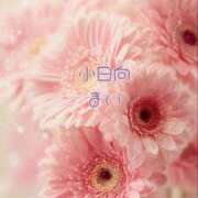 ヒメ日記 2026/09/05 20:23 投稿 小日向まい 性感回春アロマSPA金沢店