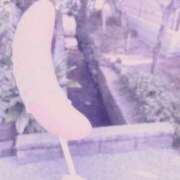 ヒメ日記 2025/01/02 14:30 投稿 みゆき ふぞろいの人妻たち