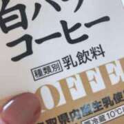 ヒメ日記 2025/03/26 00:10 投稿 みゆき ふぞろいの人妻たち