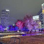 ヒメ日記 2026/01/28 23:50 投稿 みゆき ふぞろいの人妻たち