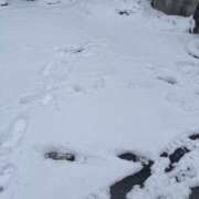 みゆき おひさしぶりです！ ふぞろいの人妻たち