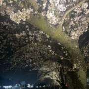 ヒメ日記 2026/03/31 17:50 投稿 みゆき ふぞろいの人妻たち