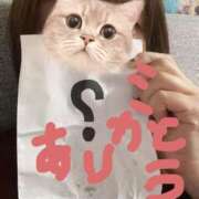 ヒメ日記 2026/10/23 17:31 投稿 みゆき ふぞろいの人妻たち
