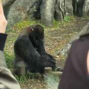 ヒメ日記 2025/11/09 15:21 投稿 美国アリス 全裸革命orおもいっきり痴漢電車