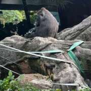 ヒメ日記 2025/11/28 01:00 投稿 美国アリス 全裸革命orおもいっきり痴漢電車