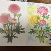 ヒメ日記 2025/05/09 23:36 投稿 高樹 十恋人～トレンド～