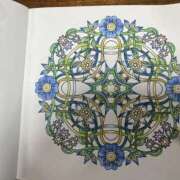 ヒメ日記 2025/05/24 05:10 投稿 高樹 十恋人～トレンド～