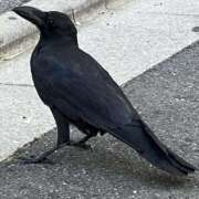 ヒメ日記 2025/06/21 06:00 投稿 高樹 十恋人～トレンド～