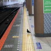 ヒメ日記 2025/06/22 05:00 投稿 高樹 十恋人～トレンド～