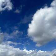 ヒメ日記 2025/06/26 10:00 投稿 高樹 十恋人～トレンド～