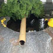 ヒメ日記 2025/07/19 17:00 投稿 高樹 十恋人～トレンド～