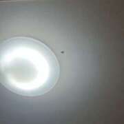 ヒメ日記 2025/07/22 16:00 投稿 高樹 十恋人～トレンド～