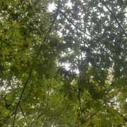 ヒメ日記 2025/09/15 05:00 投稿 高樹 十恋人～トレンド～