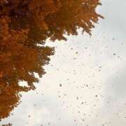 ヒメ日記 2025/12/03 14:02 投稿 高樹 十恋人～トレンド～