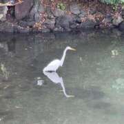 ヒメ日記 2026/01/07 05:00 投稿 高樹 十恋人～トレンド～