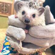 ヒメ日記 2024/12/15 21:04 投稿 ほのか 素人妻御奉仕倶楽部Hip's松戸店