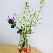 ヒメ日記 2025/03/26 08:58 投稿 ほのか 素人妻御奉仕倶楽部Hip's松戸店