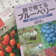 ヒメ日記 2025/04/05 12:38 投稿 ほのか 素人妻御奉仕倶楽部Hip's松戸店