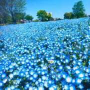 ヒメ日記 2025/04/10 09:38 投稿 ほのか 素人妻御奉仕倶楽部Hip's松戸店