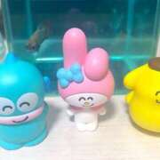 ヒメ日記 2025/05/03 09:52 投稿 ほのか 素人妻御奉仕倶楽部Hip's松戸店