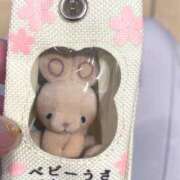 ヒメ日記 2025/05/09 15:46 投稿 ほのか 素人妻御奉仕倶楽部Hip's松戸店