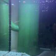 ヒメ日記 2025/05/31 14:35 投稿 ほのか 素人妻御奉仕倶楽部Hip's松戸店