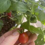 ヒメ日記 2025/06/24 18:58 投稿 ほのか 素人妻御奉仕倶楽部Hip's松戸店