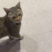 ヒメ日記 2025/09/13 20:19 投稿 ほのか 素人妻御奉仕倶楽部Hip's松戸店