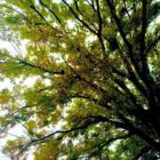 ヒメ日記 2025/10/07 19:29 投稿 ほのか 素人妻御奉仕倶楽部Hip's松戸店