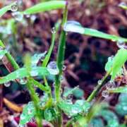 ヒメ日記 2025/10/23 09:39 投稿 ほのか 素人妻御奉仕倶楽部Hip's松戸店