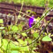 ヒメ日記 2025/10/24 20:19 投稿 ほのか 素人妻御奉仕倶楽部Hip's松戸店